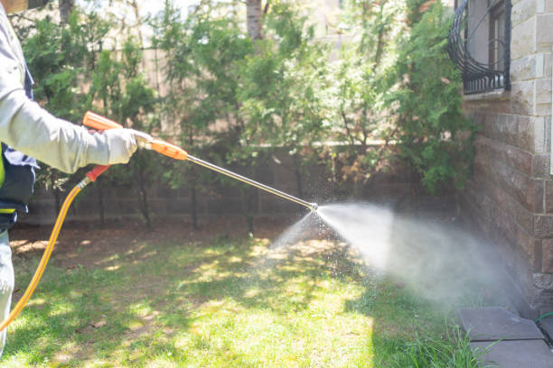 Professional Pest Control in Staunton, IL